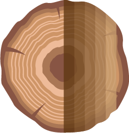 Boomstam-spiegel-PNG